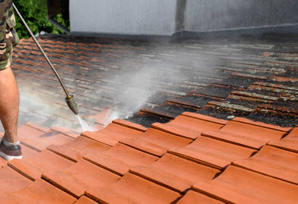 Best Roof Power Washing Services  in West Reading, PA