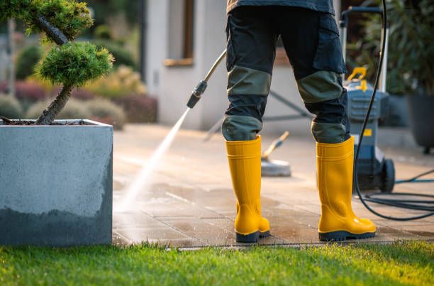 Best Deck Cleaning Services  in West Reading, PA